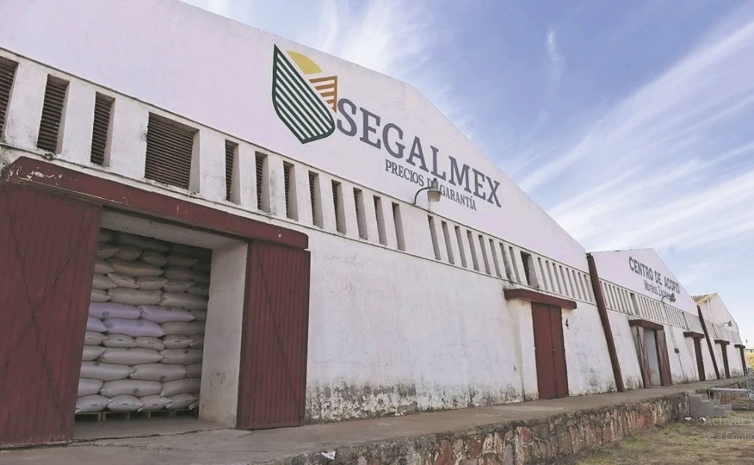 Segalmex, el organismo público con más anomalías