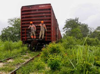 Inai ordena a Fonatur hacer público estudio sobre impacto ambiental del Tren Maya