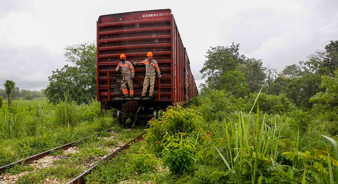 Inai ordena a Fonatur hacer público estudio sobre impacto ambiental del Tren Maya