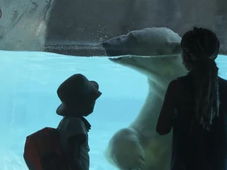 El cambio climático provocará la extinción del 48% de las especies terrestres: ONU