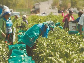 “Sin nosotros, EU se quedaría sin comida”: jornaleros