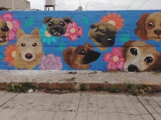 Luchan por salvar a perritos y gatitos de la calle