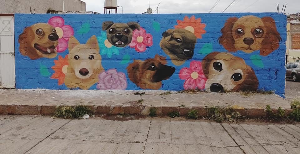 Luchan por salvar a perritos y gatitos de la calle
