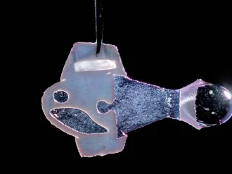 Científicos de Harvard crean pez robótico con tejido humano que simula al corazón