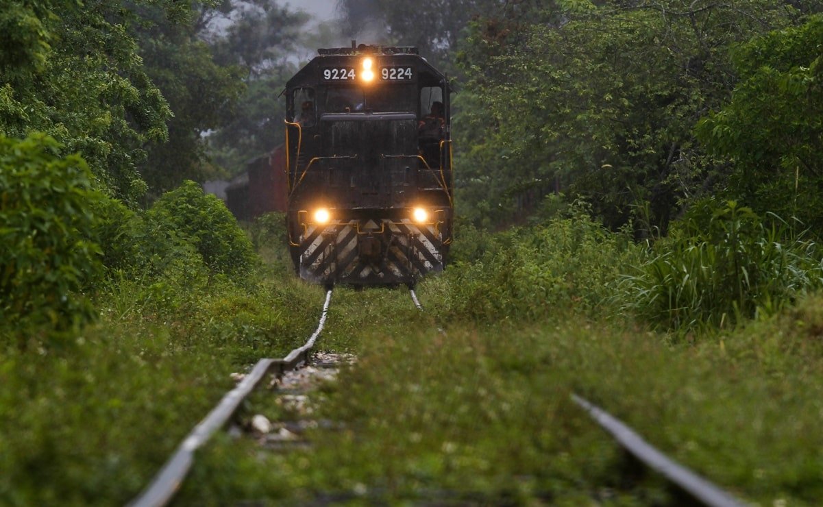 Alertan de posibles afectaciones al patrimonio arqueológico subterráneo por el Tren Maya