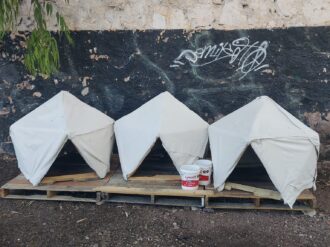 Dignifican vida de 7 perros