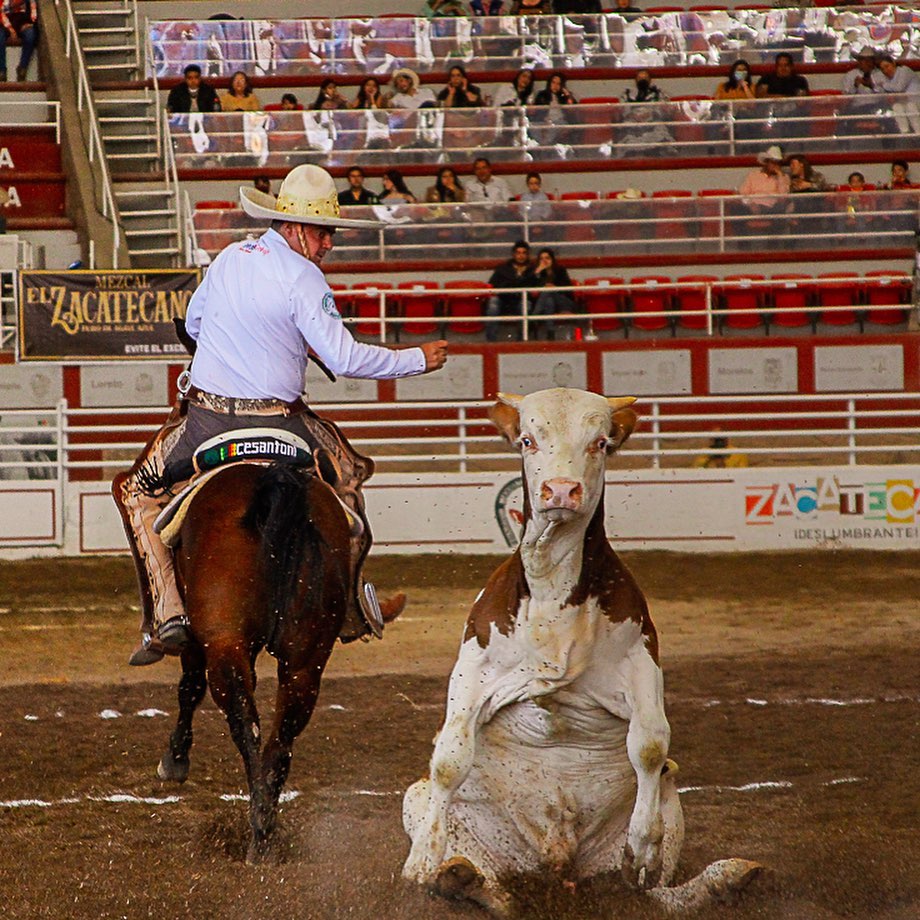 Desplaza Regionales de Jalisco a El Soyate