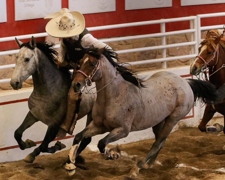 Los Tres Regalos dieron la sorpresa