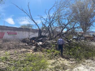 Dejan ventarrones daños en diversos municipios de Zacatecas