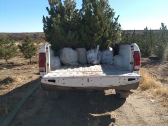 Autoridades de Río Grande impulsan acciones de limpieza y cuidado del medio ambiente