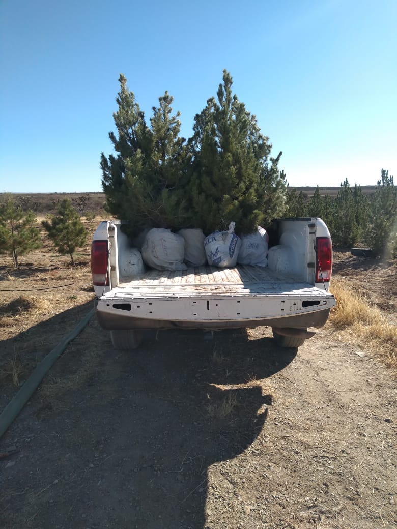 Autoridades de Río Grande impulsan acciones de limpieza y cuidado del medio ambiente