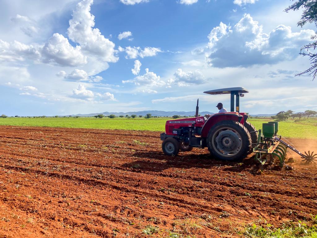 Pese a sequía, el ciclo agrícola está a salvo: Conagua