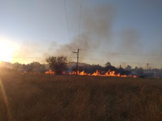 Se registran más de 120 incendios en Jerez en el primer trimestre de 2022