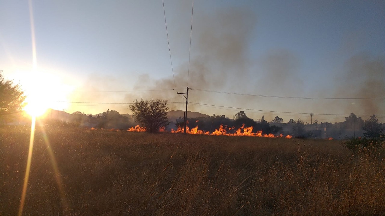 Se registran más de 120 incendios en Jerez en el primer trimestre de 2022