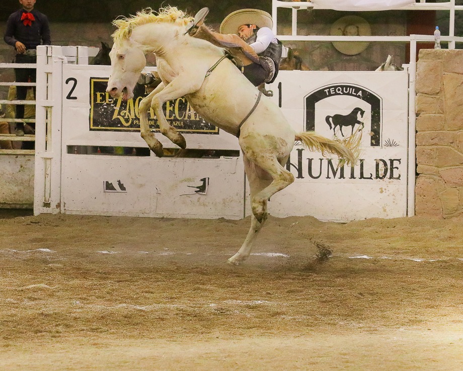Acarician Charros de La Laguna B la final