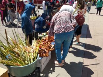 Se mantiene la tradición de tejido de palmas en Domingo de Ramos