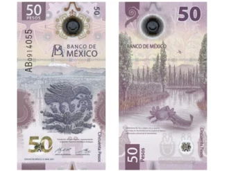¡Triunfó el ajolote! Otro billete de México gana premio al mejor del año