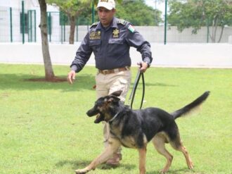 ¿Qué hace de Yucatán un modelo de éxito en seguridad?