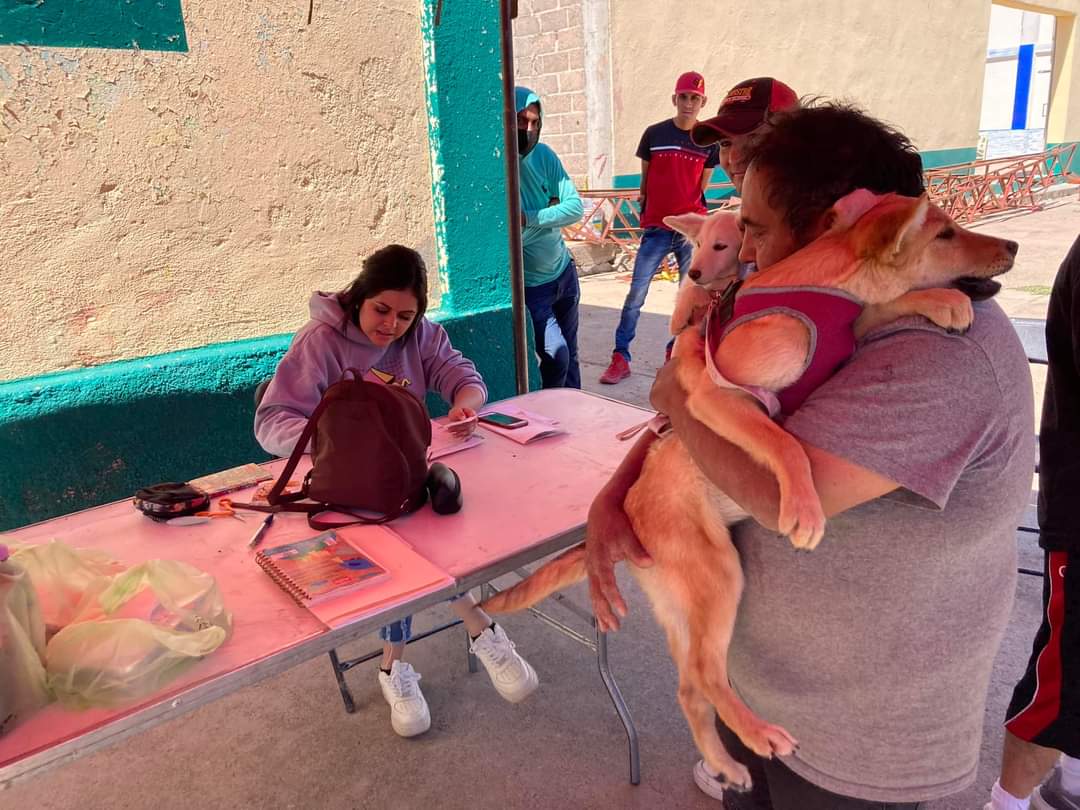 En marcha, jornada de esterilización canina y felina