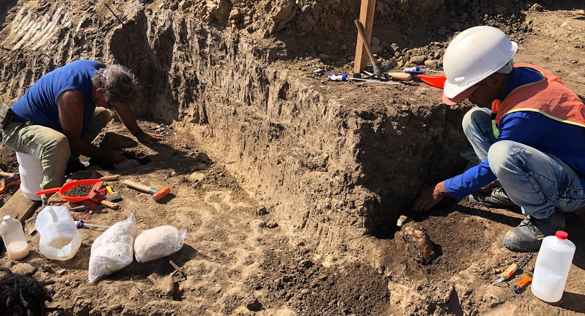 Descubren sitio prehispánico del año 900 DC cerca del puerto de Mazatlán