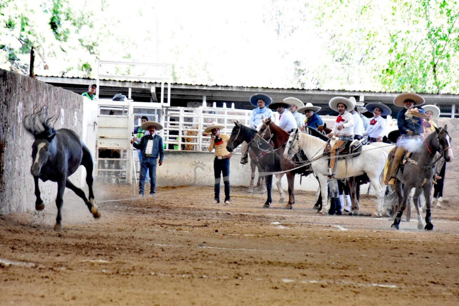 Pasa Jaral del Progreso a la segunda etapa del campeonato estatal charroEn