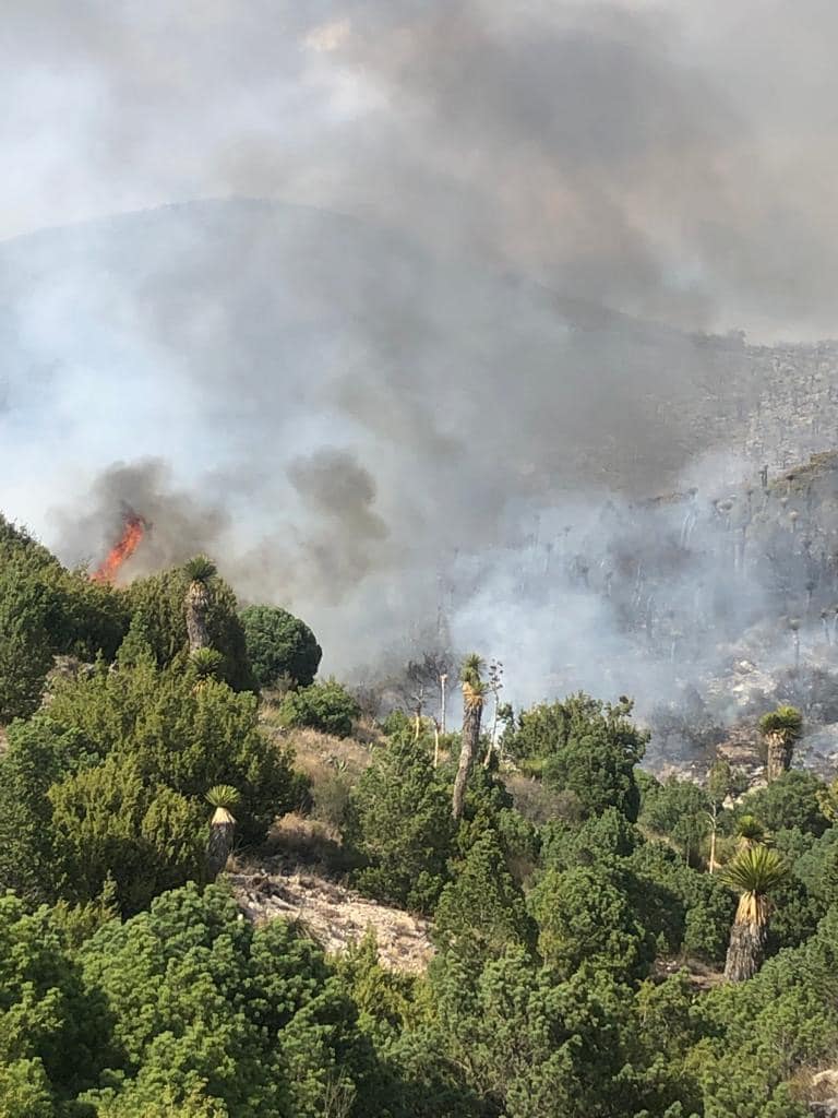 Controlan el 90% del incendio en Concha y Mazapil; lluvias ayudaron