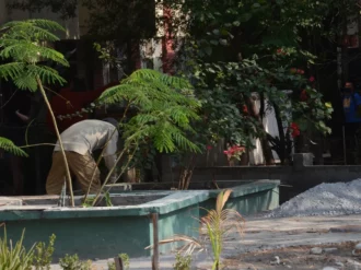 Localizan credencial de Debanhi en una jardinera de Monterrey