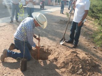Plantan más de 400 árboles en malecón de Río Grande