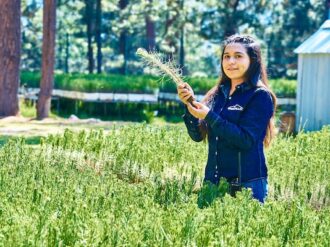 A la vanguardia, Peñoles y Fresnillo plc en cuidado del medioambiente