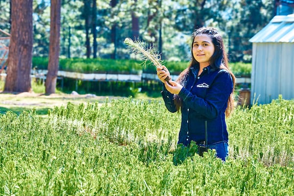 A la vanguardia, Peñoles y Fresnillo plc en cuidado del medioambiente