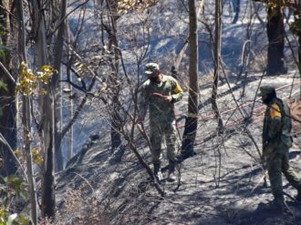Detectan amenazas al medioambiente en Zacatecas