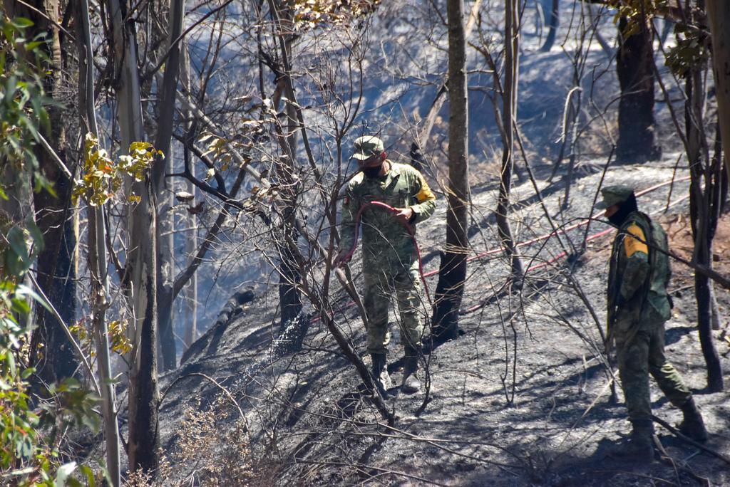 Detectan amenazas al medioambiente en Zacatecas
