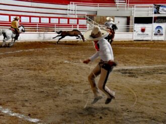 Hacienda Triana entre los 18 privilegiados