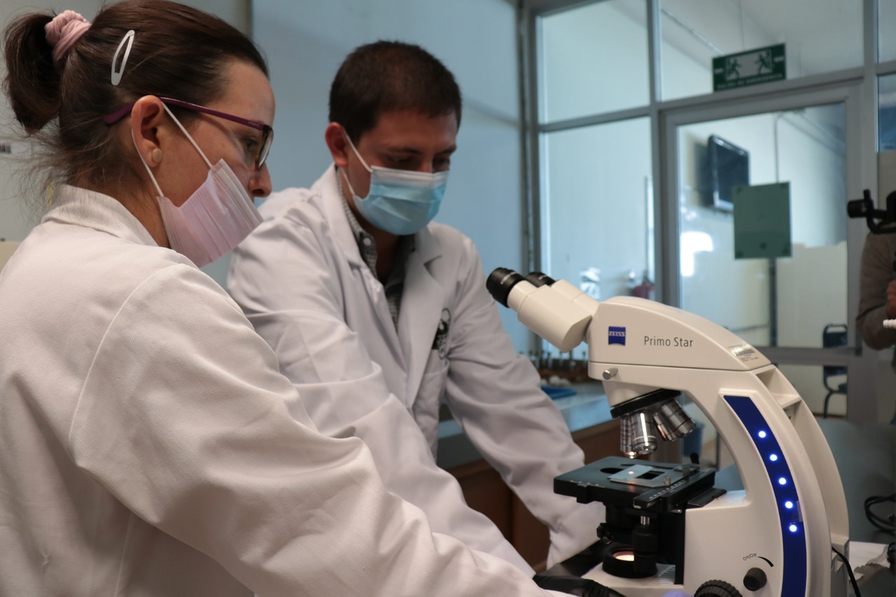 Cozcyt amplia Convocatoria de Proyectos de Ciencia,    Tecnología y Humanidades dirigida a estudiantes de 14 a 19 años