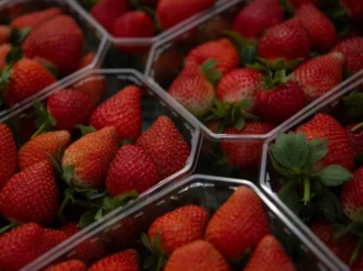 Vinculan hepatitis A con fresas mexicanas