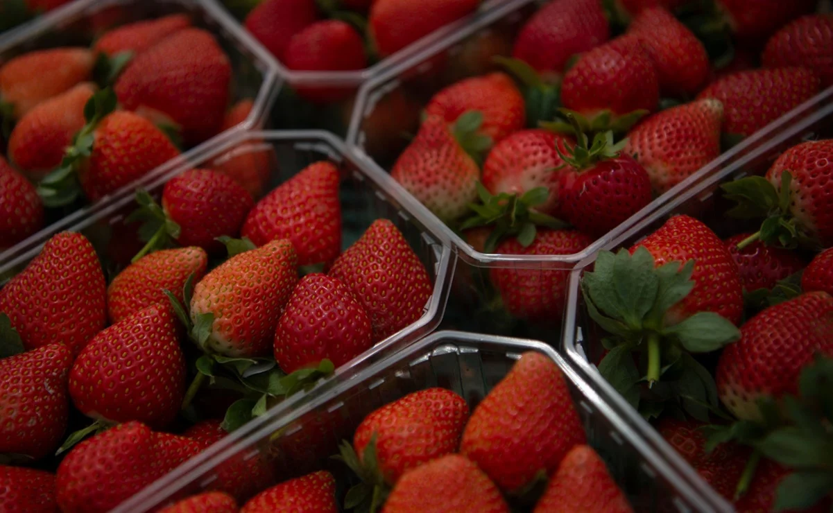 Vinculan hepatitis A con fresas mexicanas
