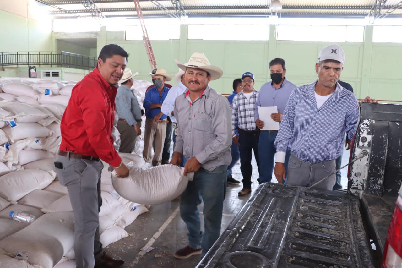 Entregan semilla de calidad a agricultores