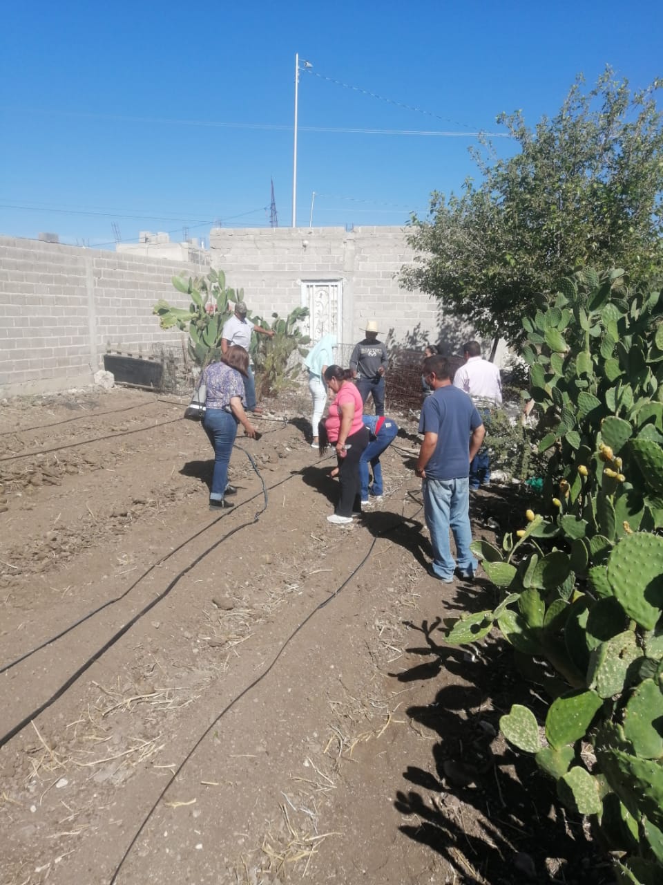 Arranca Programa de Huertos Familiares en Río Grande