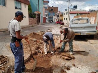 Bachean, podan y limpian en la capital