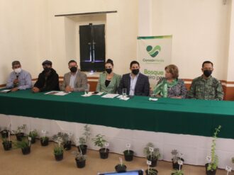 Convocan a reforestar La Bufa los días 13 y 27 de agosto