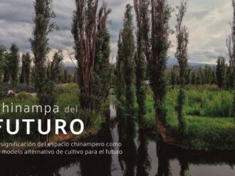 Arte, tecnología y ciencia: mexicanos van por el Flash Act