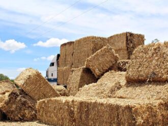 Entregan pacas de forraje en Pinos