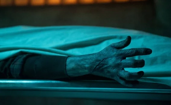Guillermo del Toro y El Gabinete de curiosidades