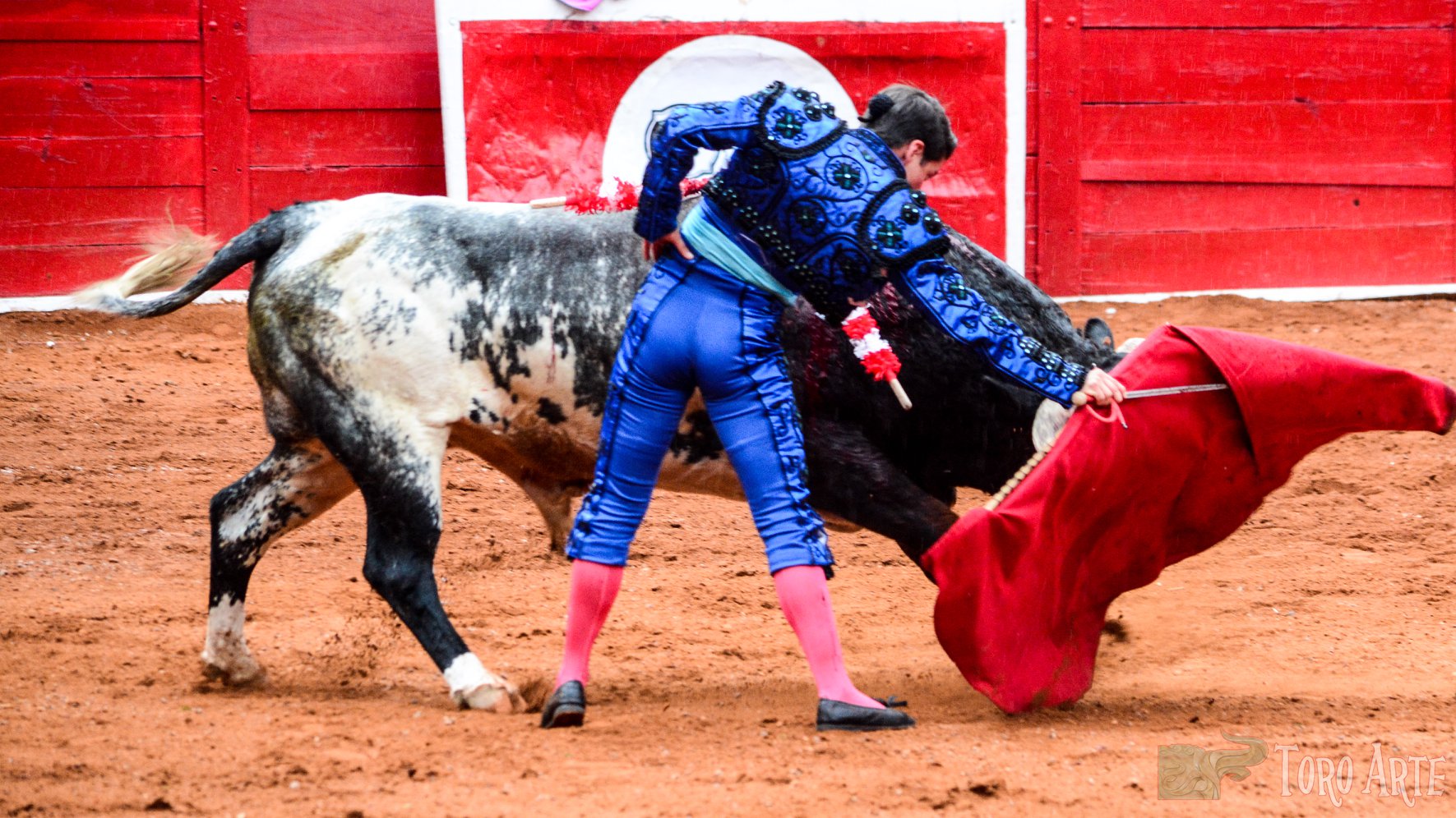 Defenderán el Festival Taurino