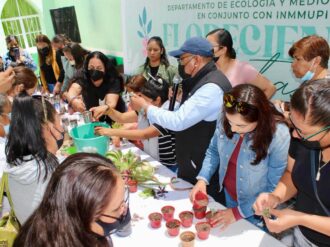 Florecen juntas mujeres en Pinos