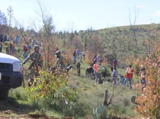 Con éxito, realizan la reforestación “Bosque Respiro por ti”