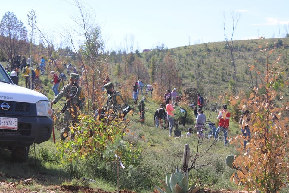 Con éxito, realizan la reforestación “Bosque Respiro por ti”
