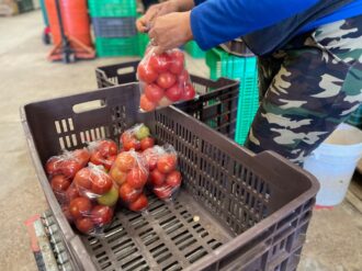 Detectan reventa de despensas del Banco de Alimentos