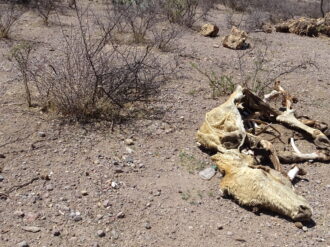 Crean plan para prevenir y manejar efectos de la sequía