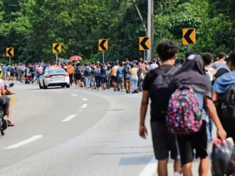 Rescatan a 77,498 migrantes de redes de traficantes